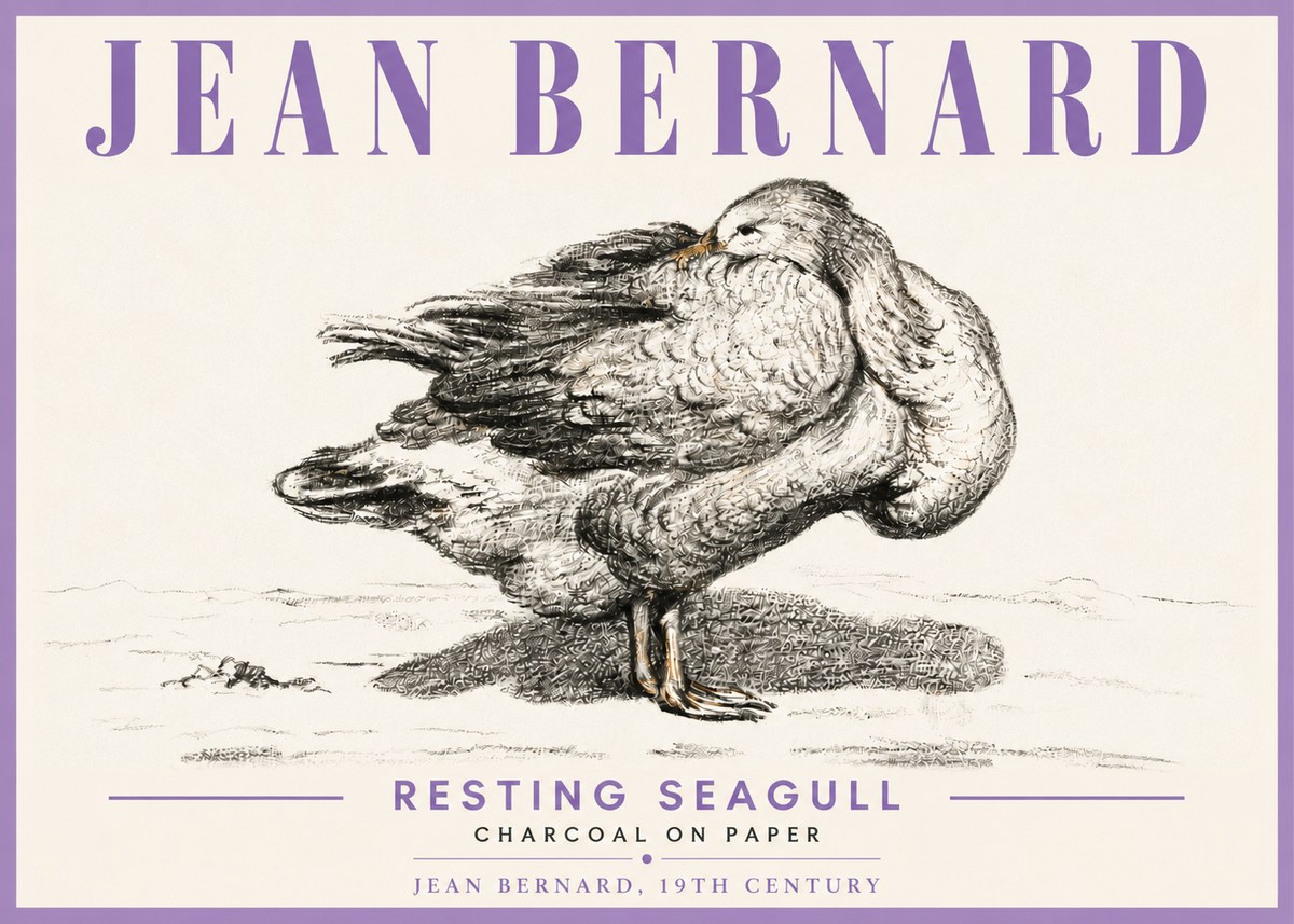 Jean Bernard Resting Seagull No6 - Poszter