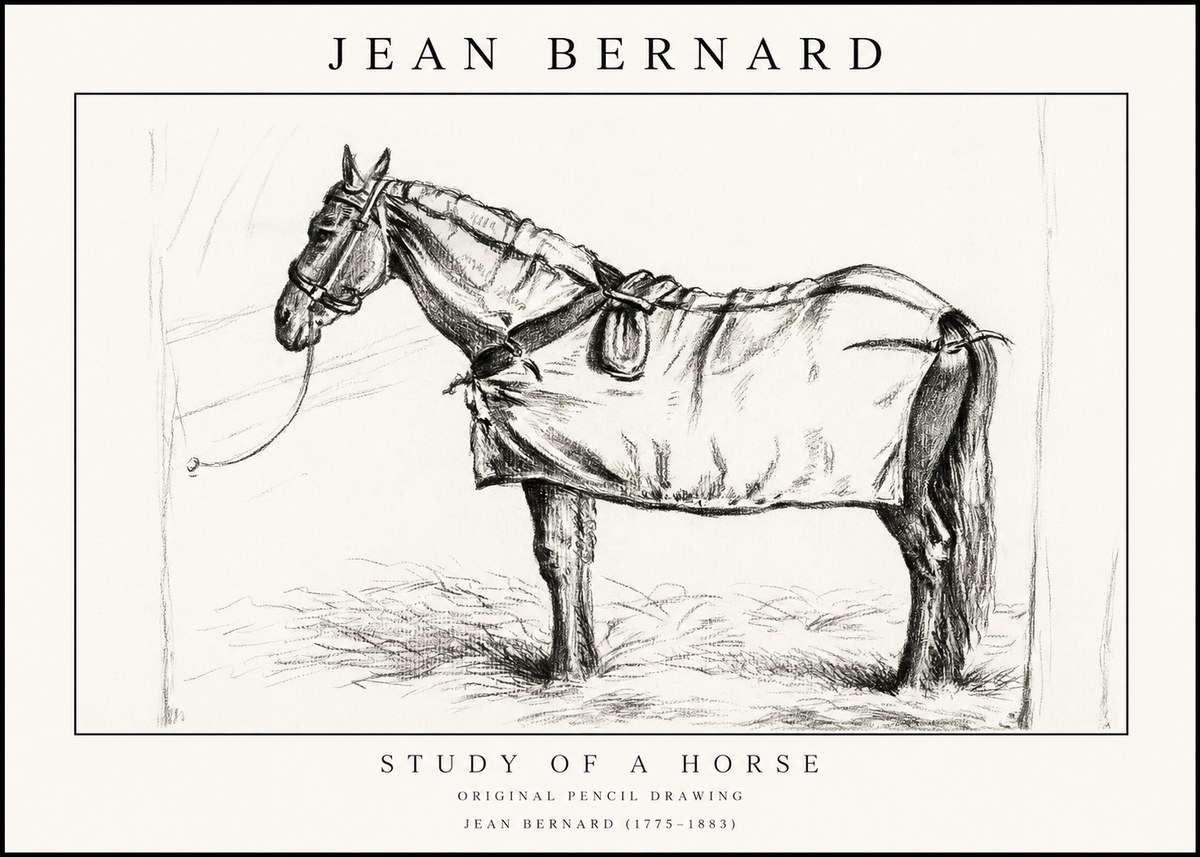 Jean Bernard Study of a Horse XI No1 - Poszter