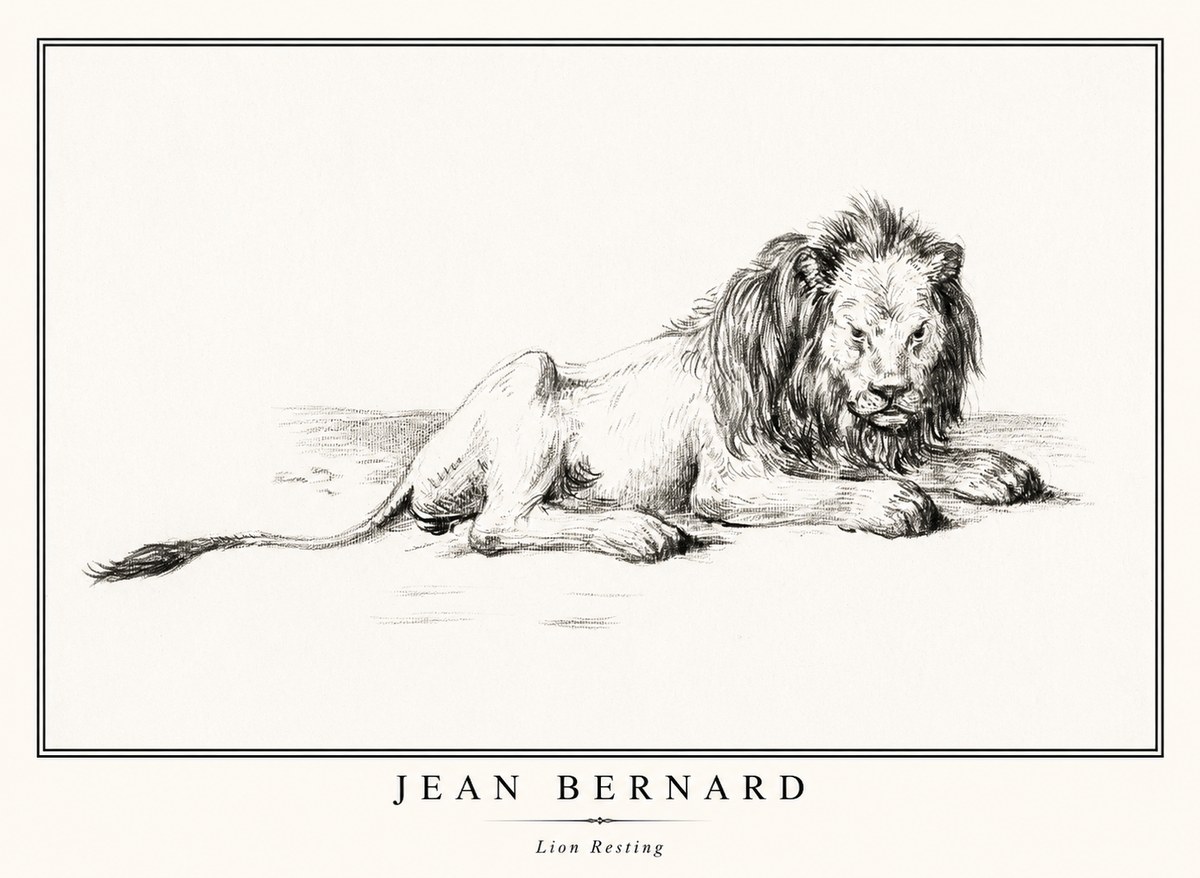 Jean Bernard Lion Resting No1 - Poszter