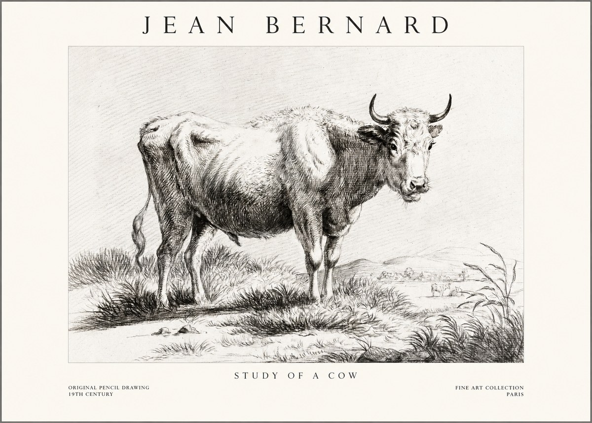 Jean Bernard Study of a Cow XVI No1 - Poszter
