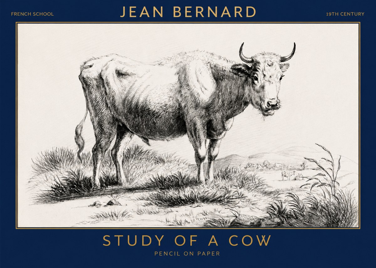 Jean Bernard Study of a Cow XVI No3 - Poszter