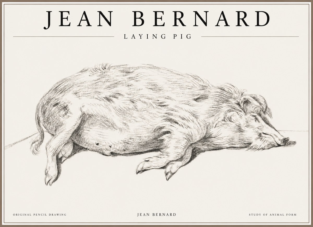 Jean Bernard Laying Pig No1 - Poszter