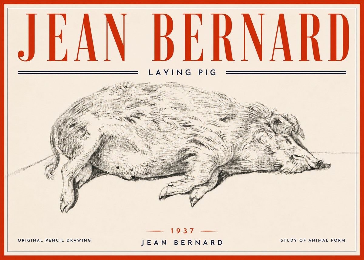 Jean Bernard Laying Pig No6 - Poszter