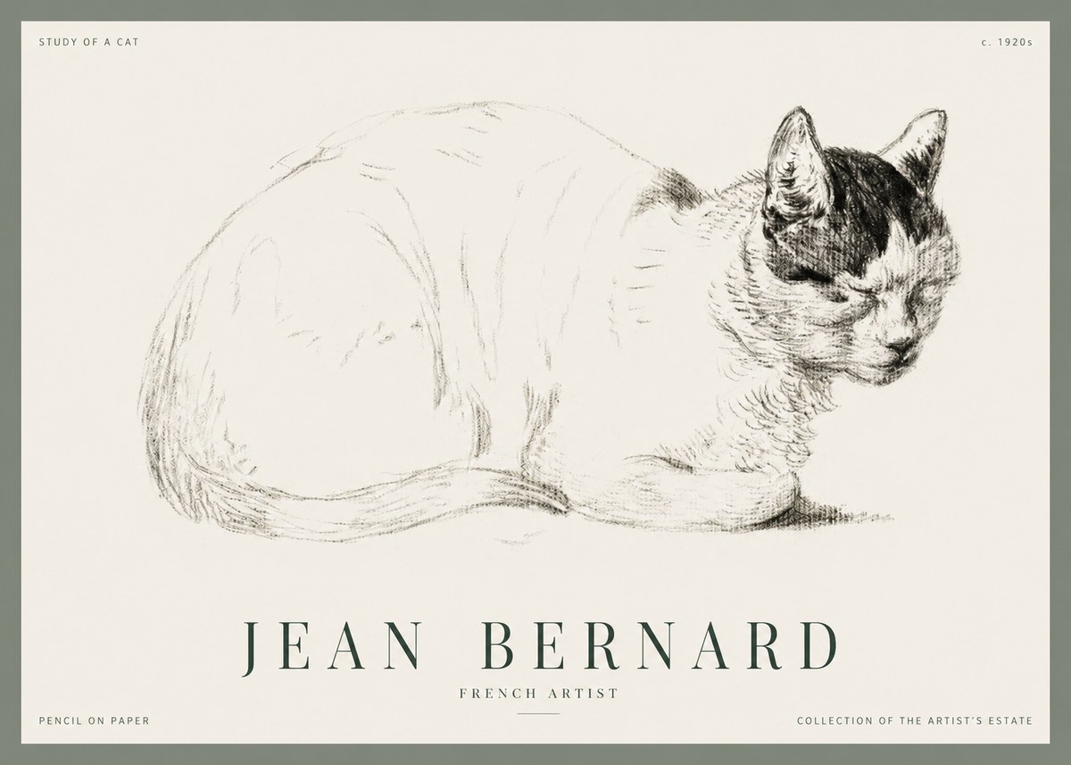 Jean Bernard Study of a Cat III No1 - Poszter