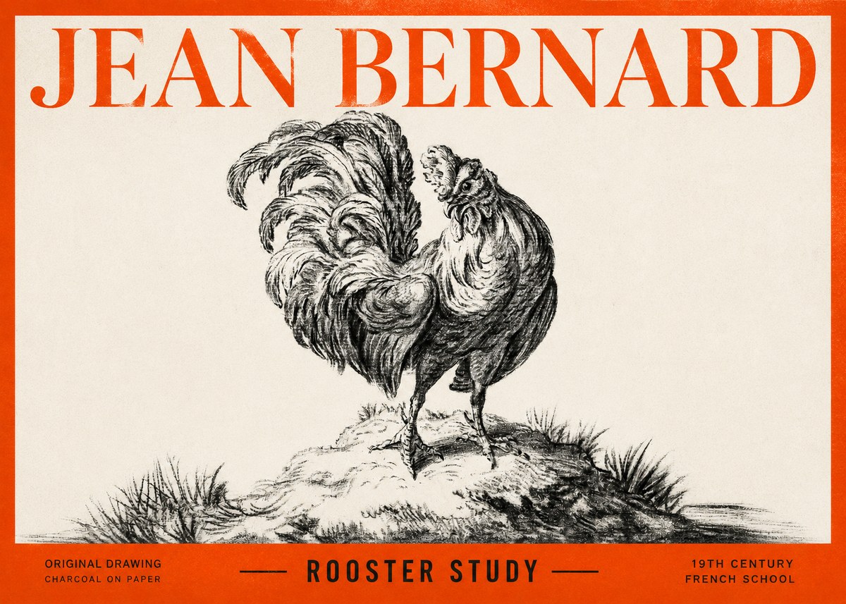 Jean Bernard Study of a Rooster No3 - Poszter