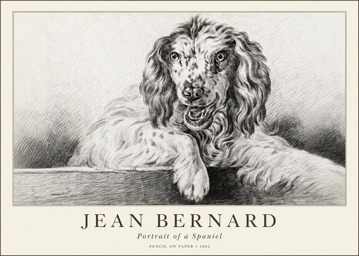 Jean Bernard Portrait of a Spaniel No1 - Poszter