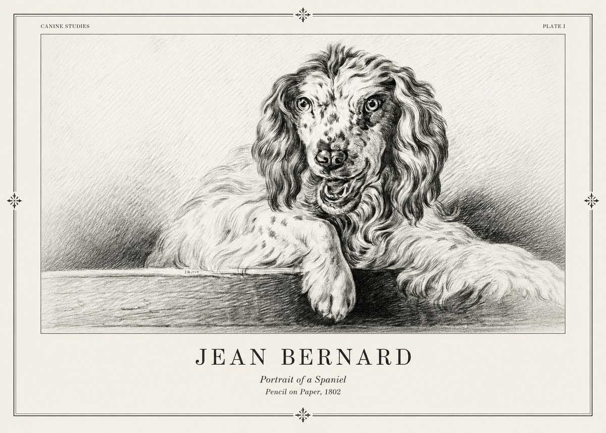Jean Bernard Portrait of a Spaniel No2 - Poszter