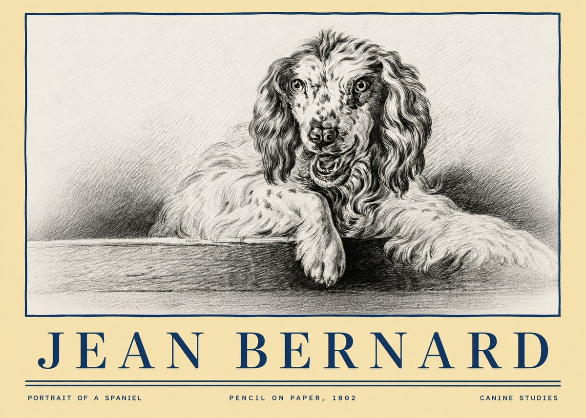 Jean Bernard Portrait of a Spaniel No4 - Poszter