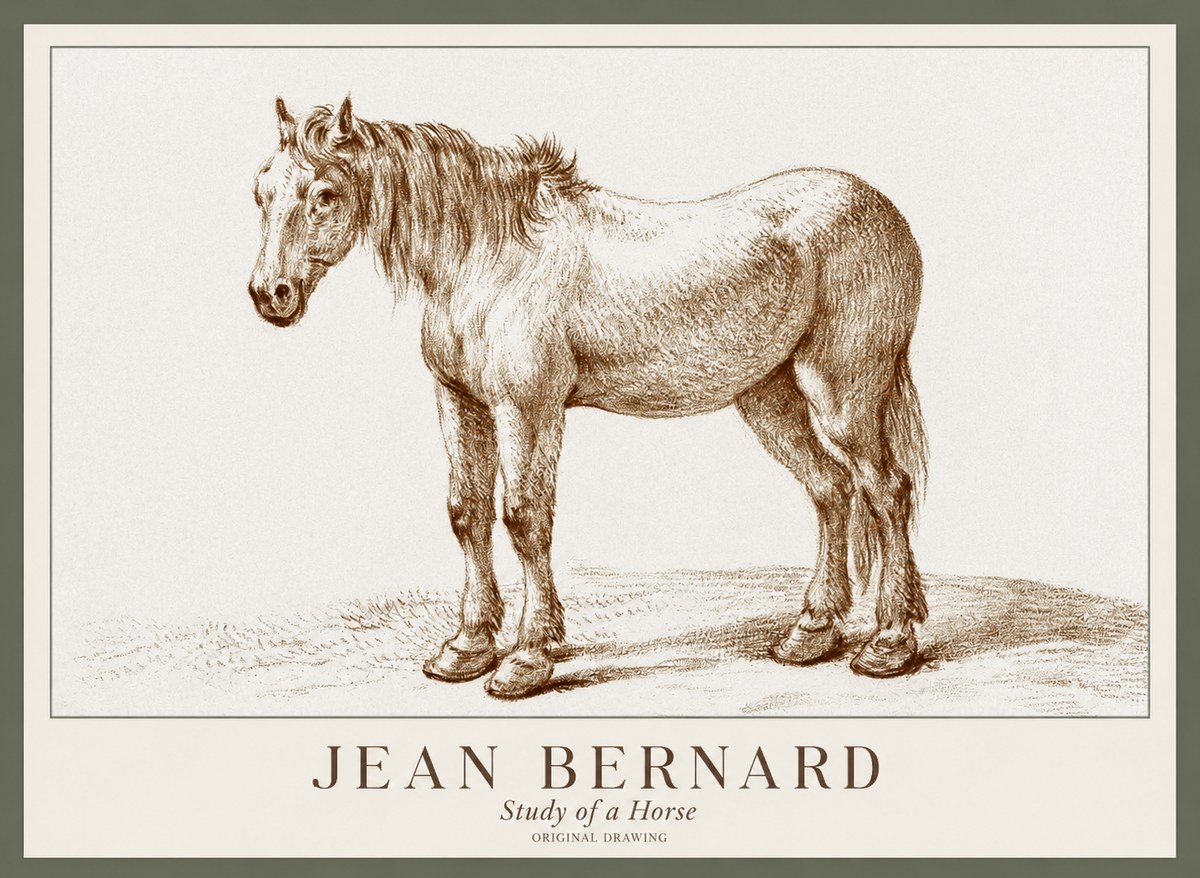 Jean Bernard Study of a Horse XIV No1 - Poszter