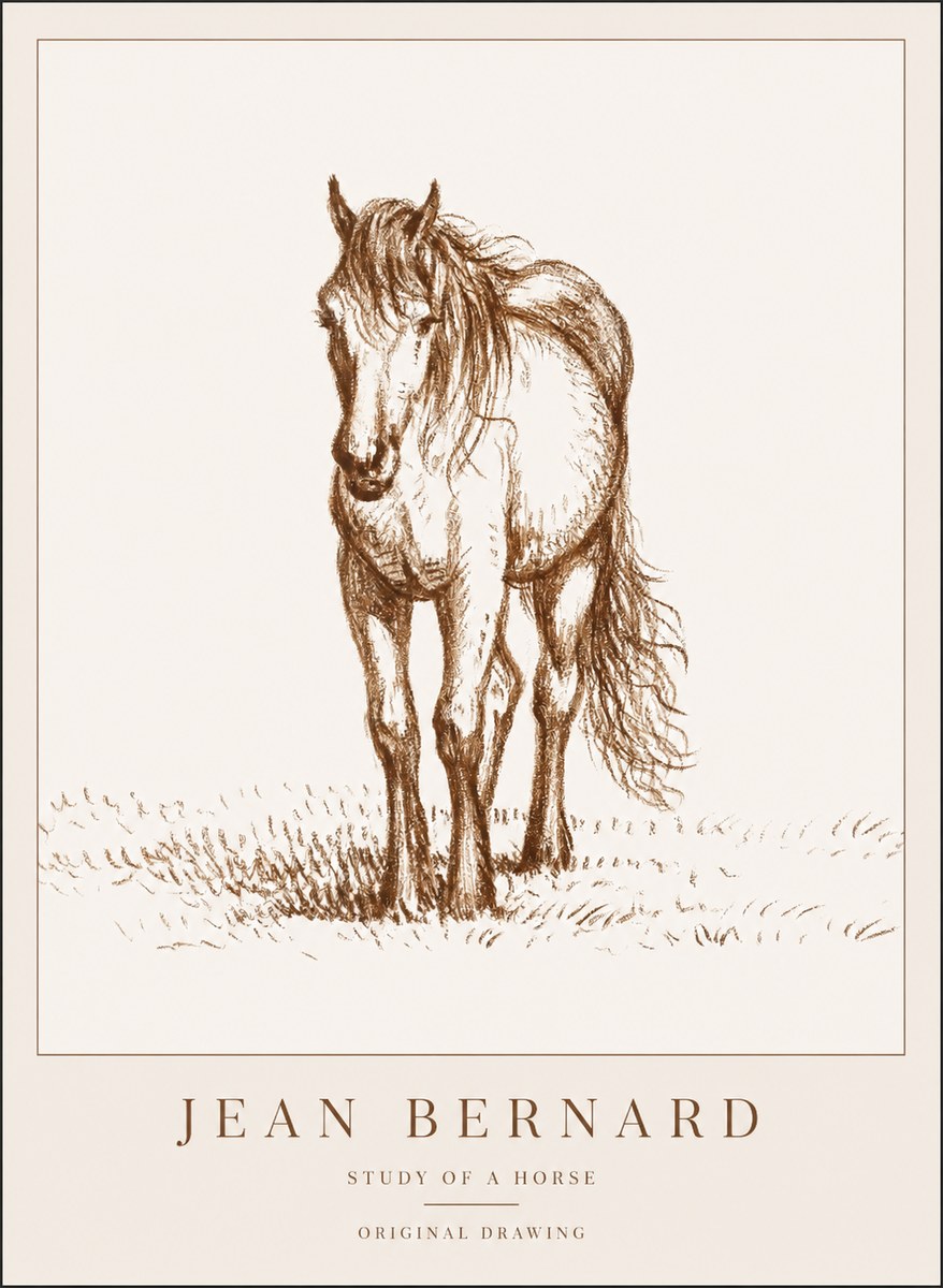 Jean Bernard Study of a Horse XV No1 - Poszter