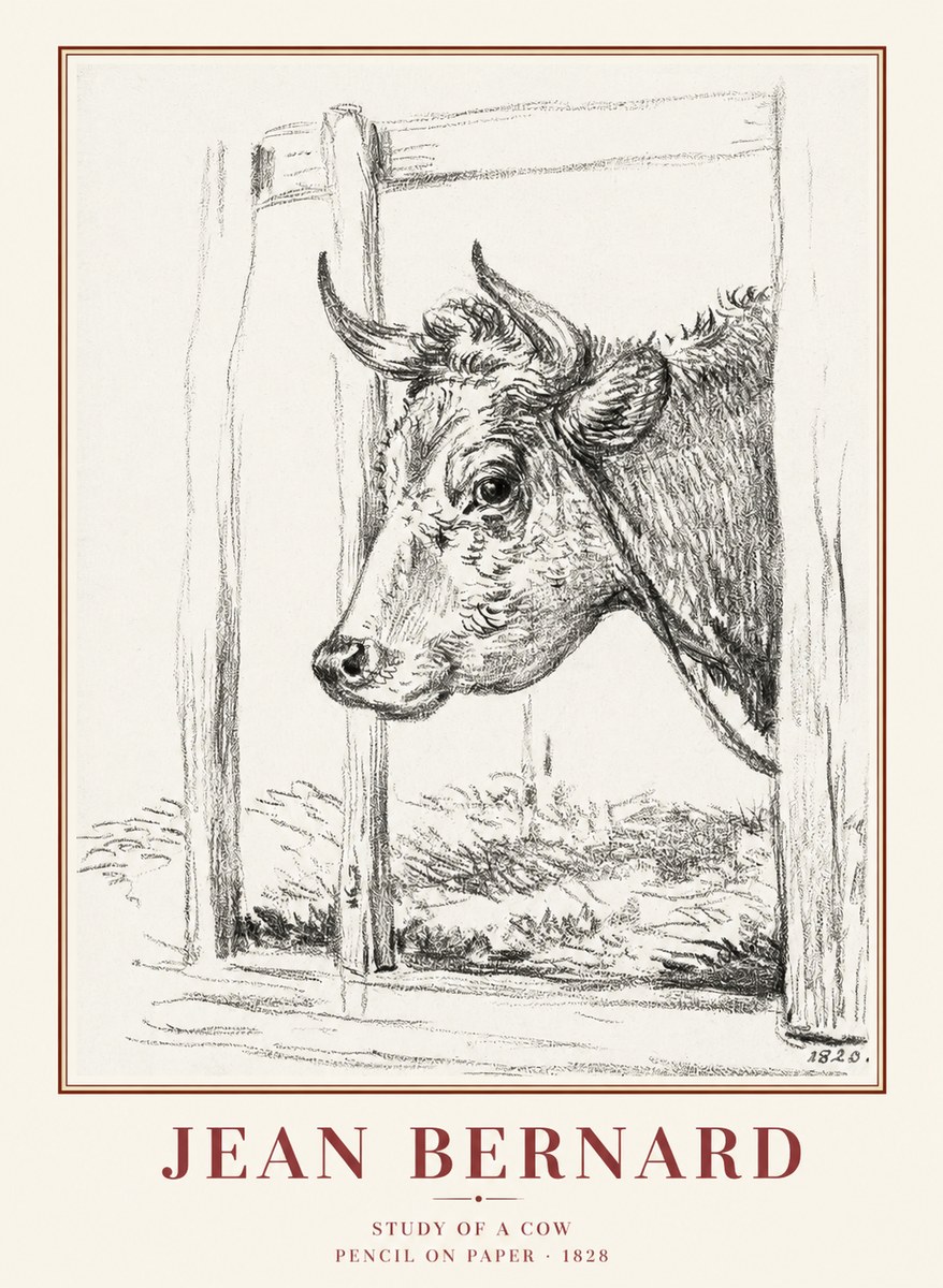Jean Bernard Study of a Cow XVIII No1 - Poszter