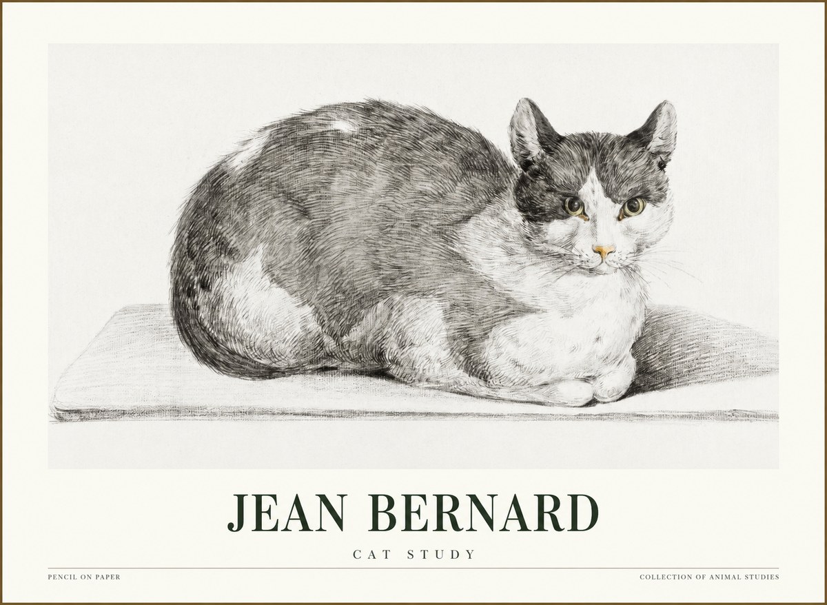 Jean Bernard Cat Study XI No1 - Poszter