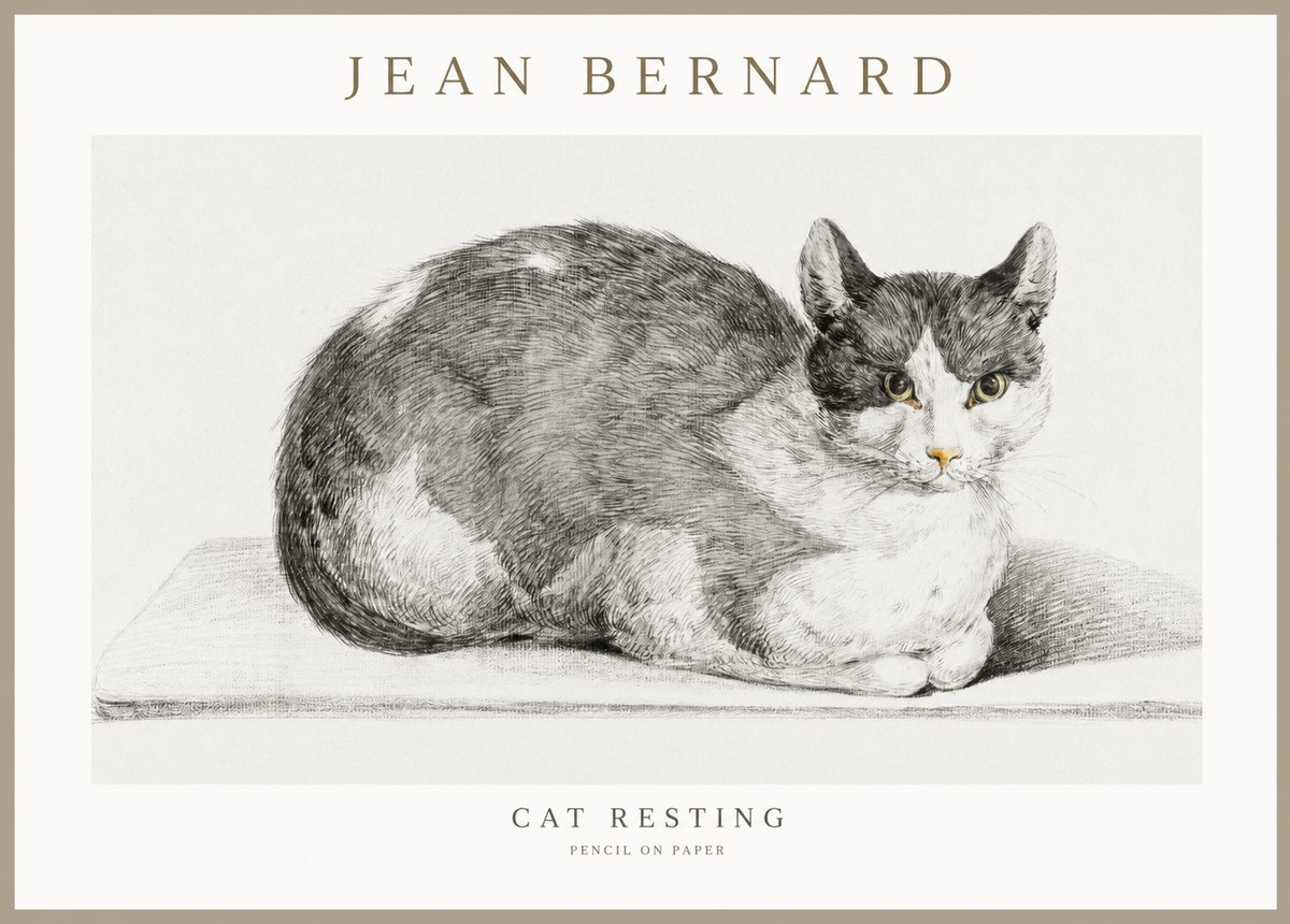 Jean Bernard Cat Study XI No3 - Poszter