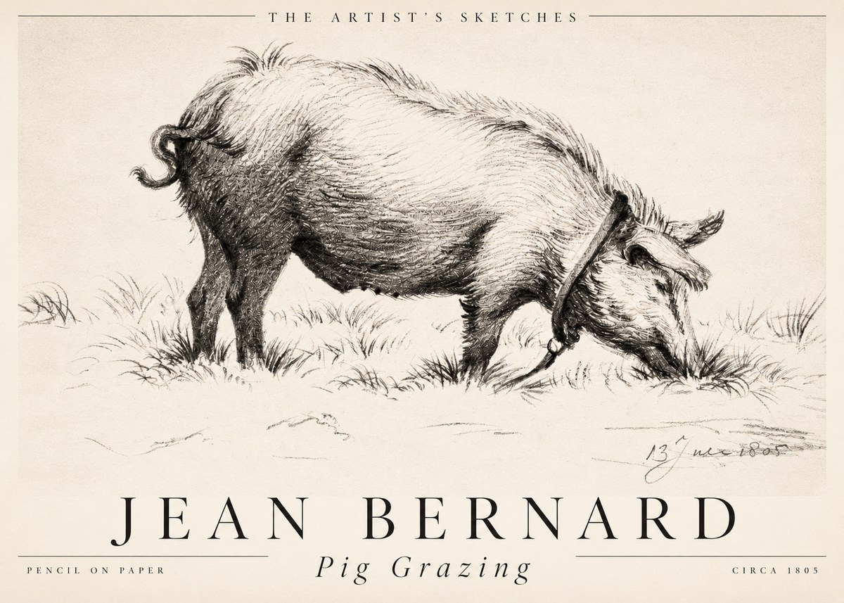 Jean Bernard Pig Grazing No2 - Poszter