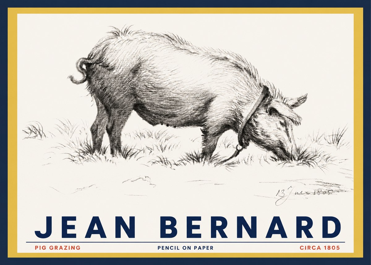Jean Bernard Pig Grazing No3 - Poszter