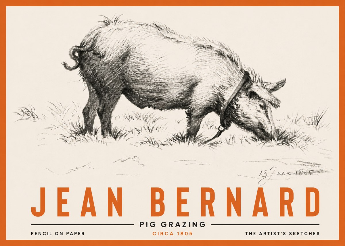 Jean Bernard Pig Grazing No4 - Poszter