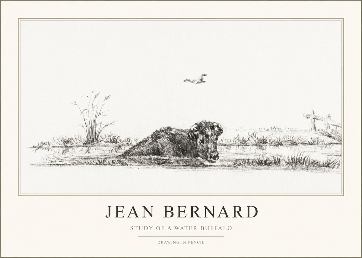 Jean Bernard Study of a Water Buffalo No1 - Poszter