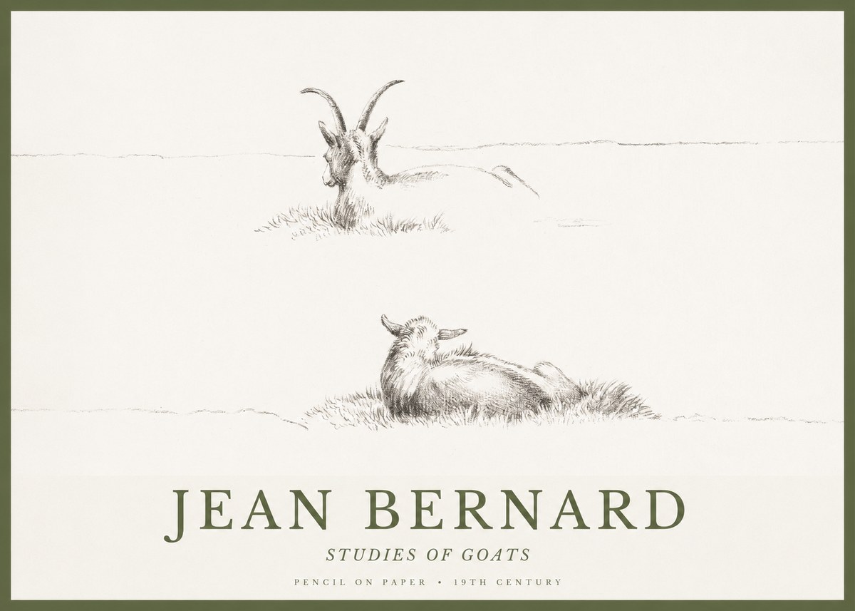 Jean Bernard Two Goats Resting No2 - Poszter