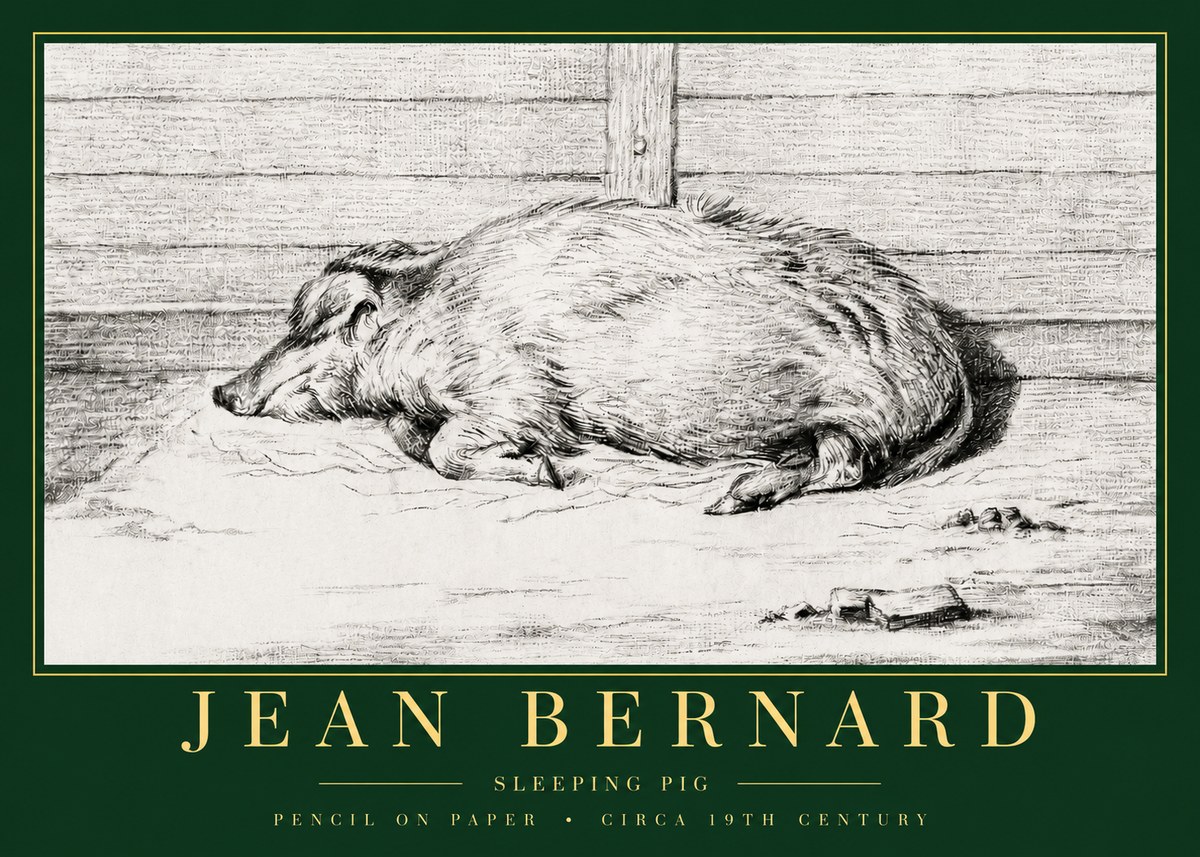 Jean Bernard Sleeping Pig I No3 - Poszter