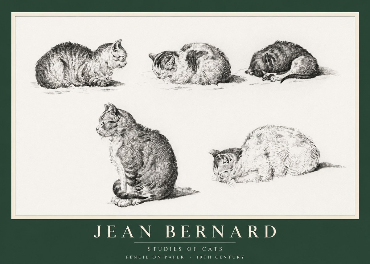 Jean Bernard Studies of Cats No1 - Poszter
