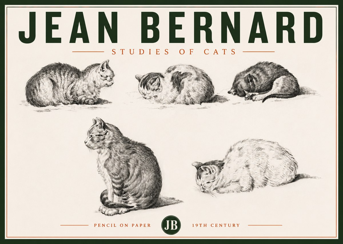 Jean Bernard Studies of Cats No4 - Poszter