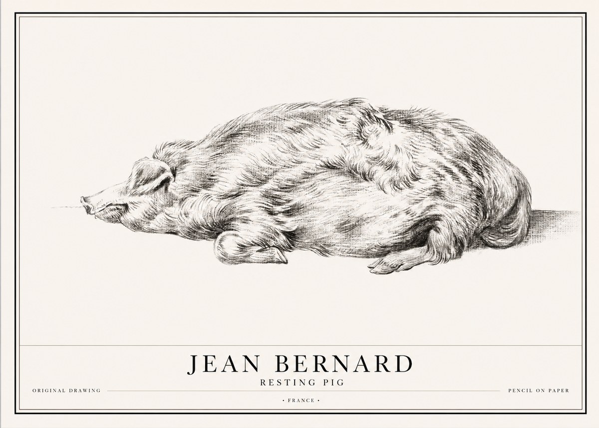 Jean Bernard Resting Pig II No1 - Poszter