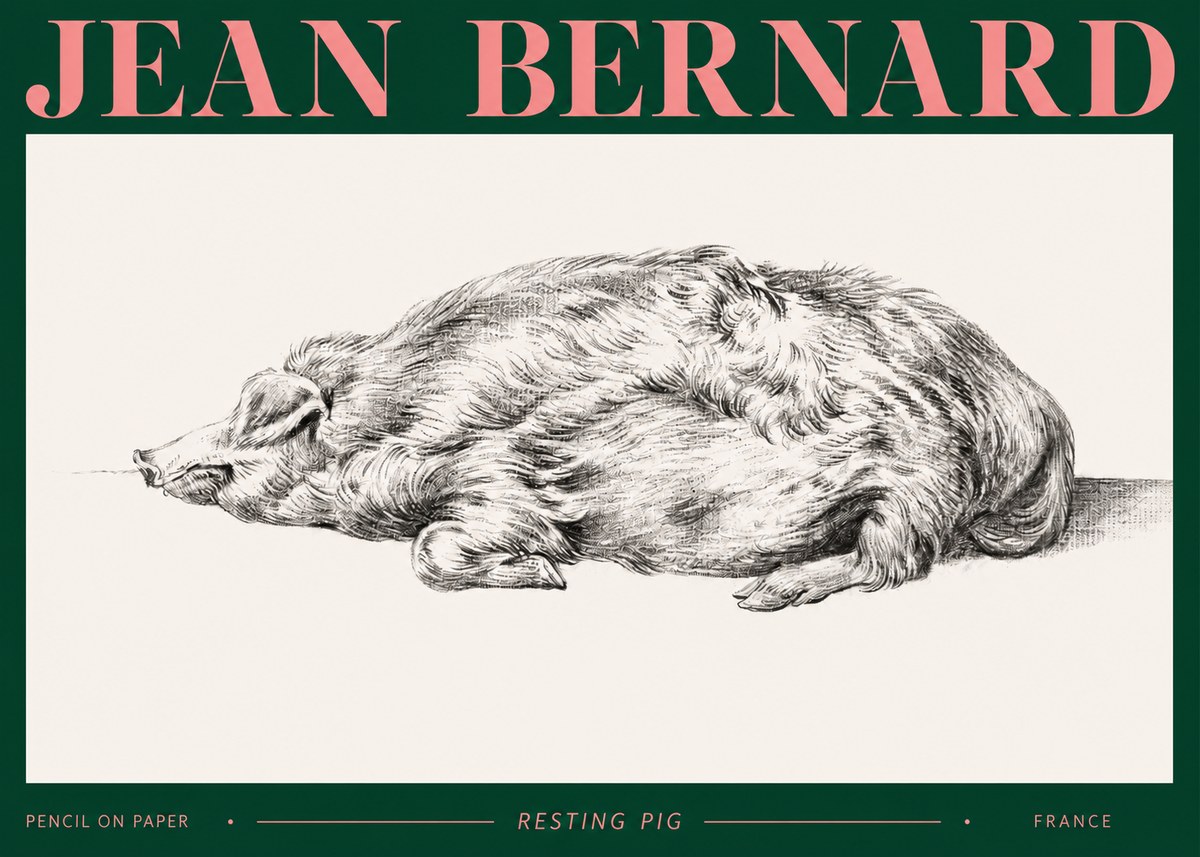 Jean Bernard Resting Pig II No2 - Poszter