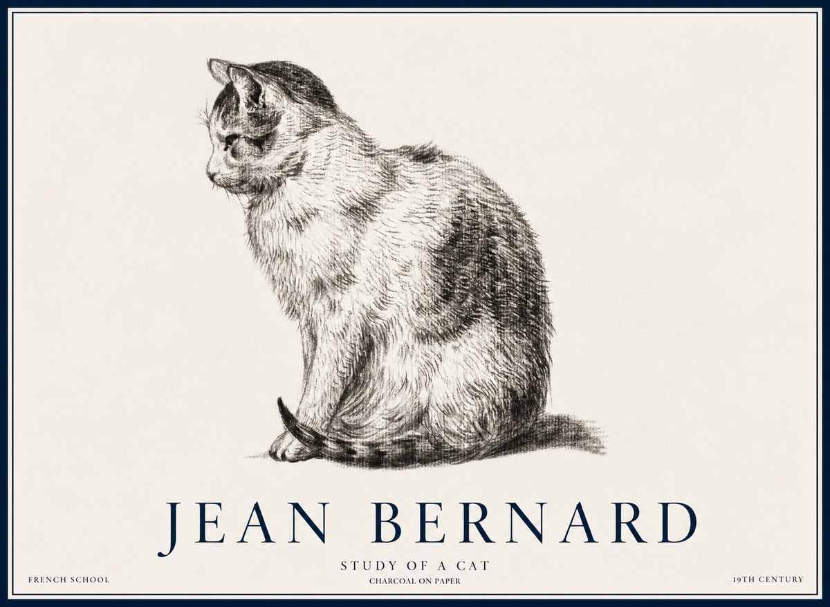 Jean Bernard Study of a Cat IV No5 - Poszter