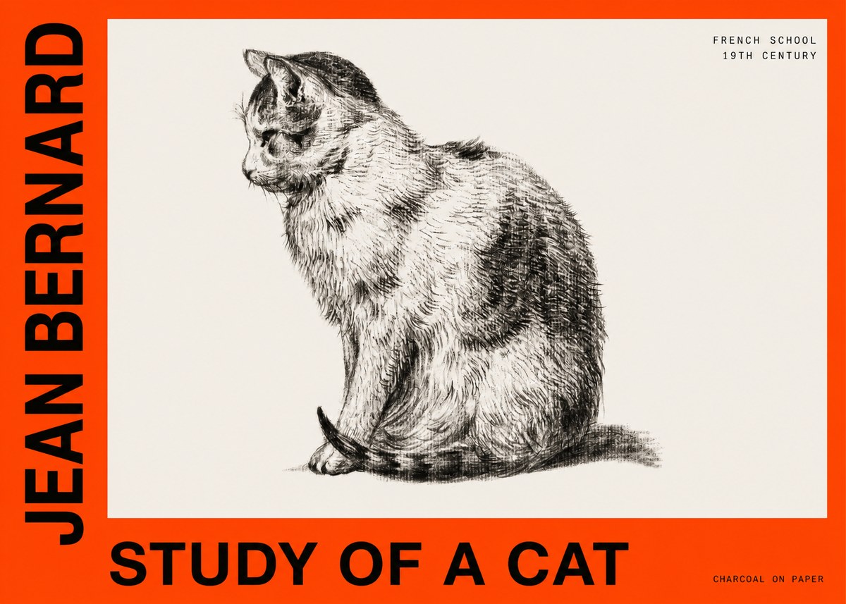 Jean Bernard Study of a Cat IV No6 - Poszter