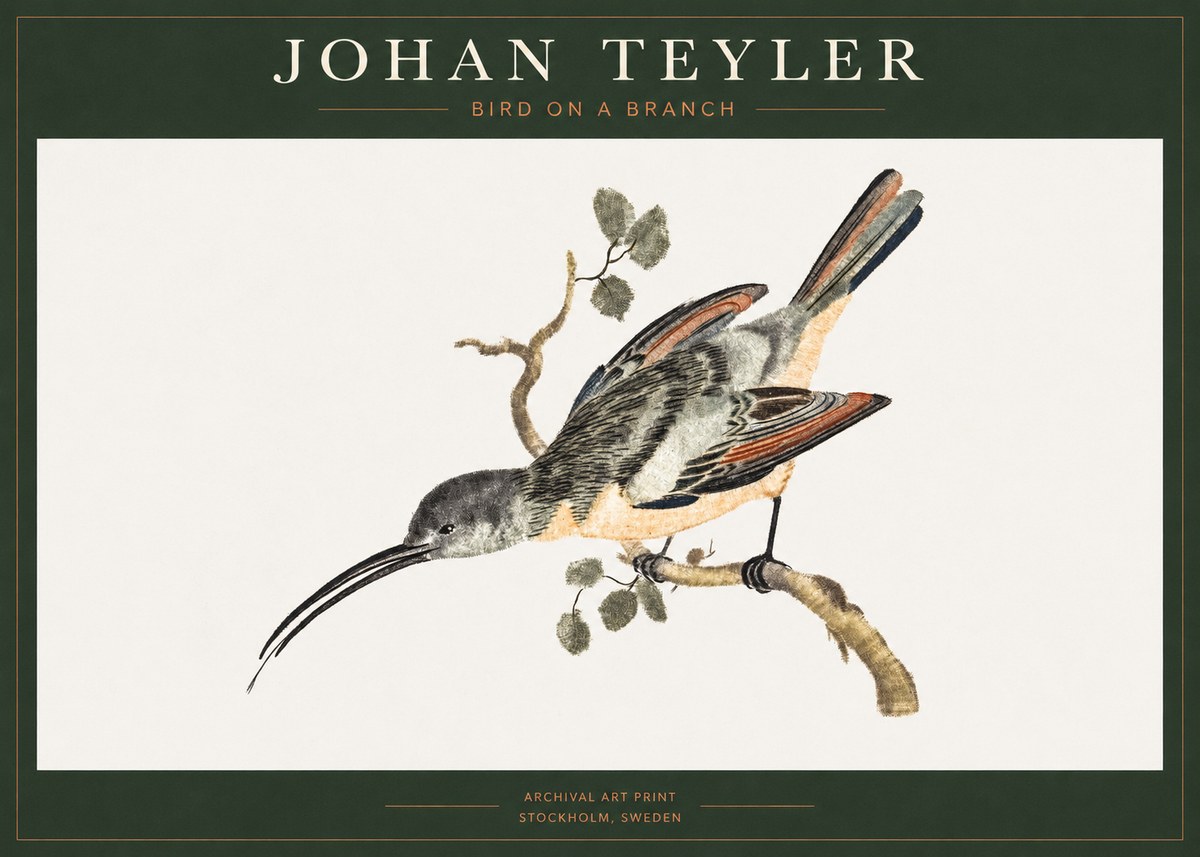 Johan Teyler Bird on a Branch No1 - Poszter