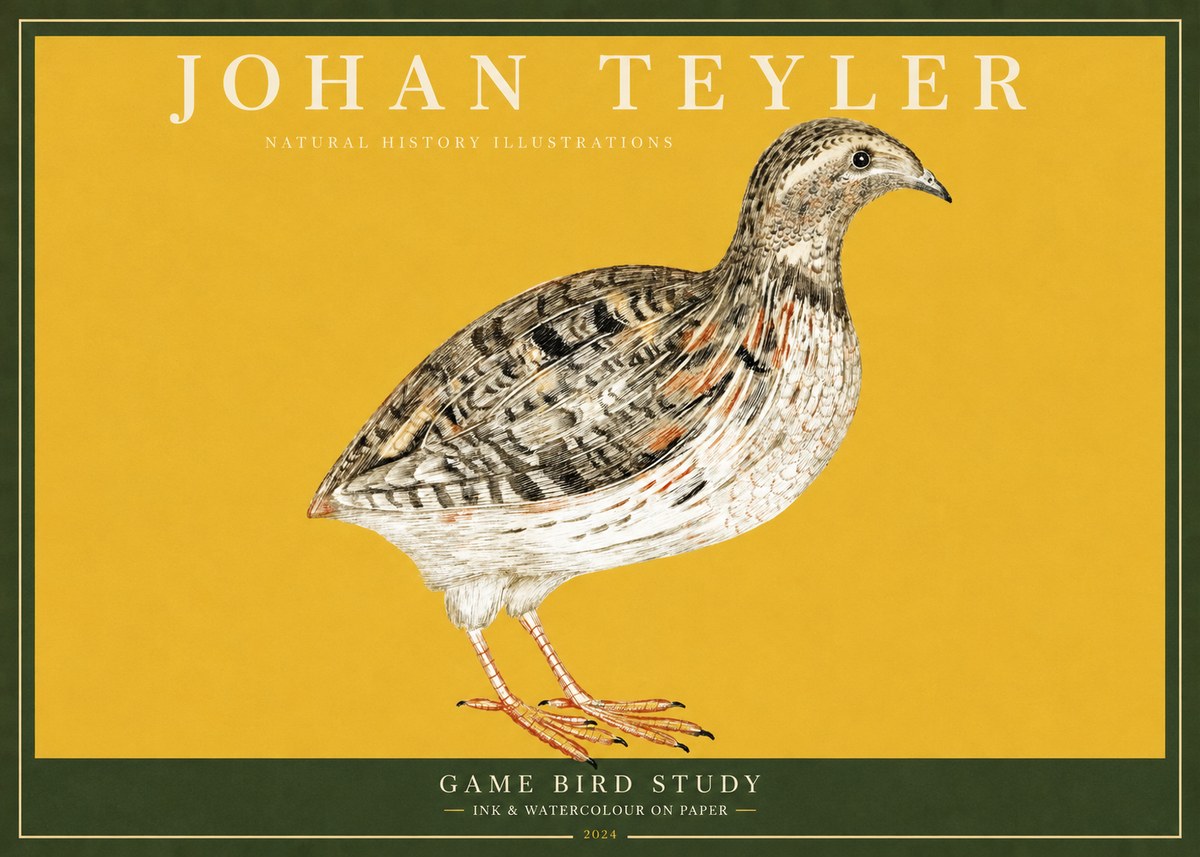 Johan Teyler Game Bird Study No2 - Poszter