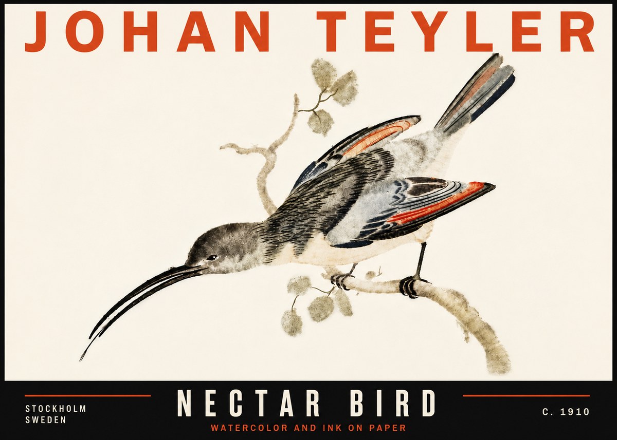 Johan Teyler Nectar Bird No6 - Poszter