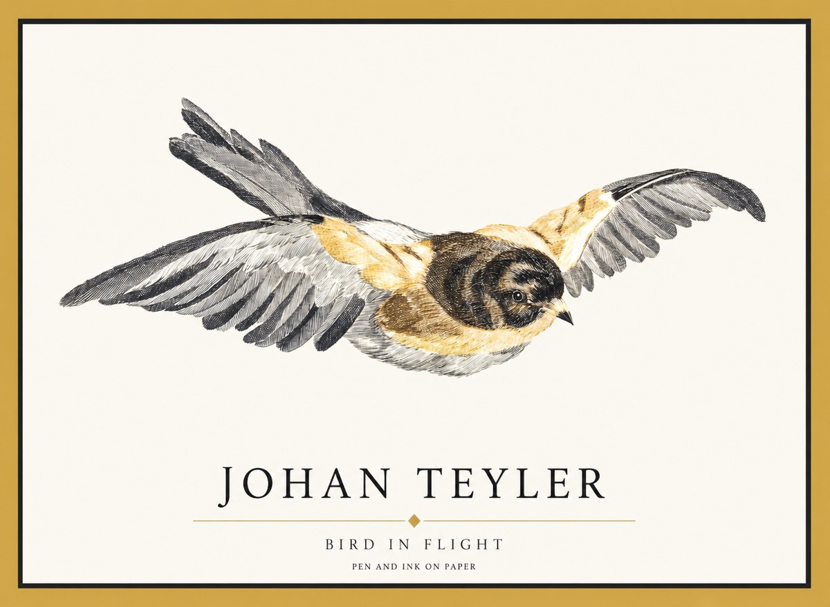 Johan Teyler Bird in Flight I No1 - Poszter