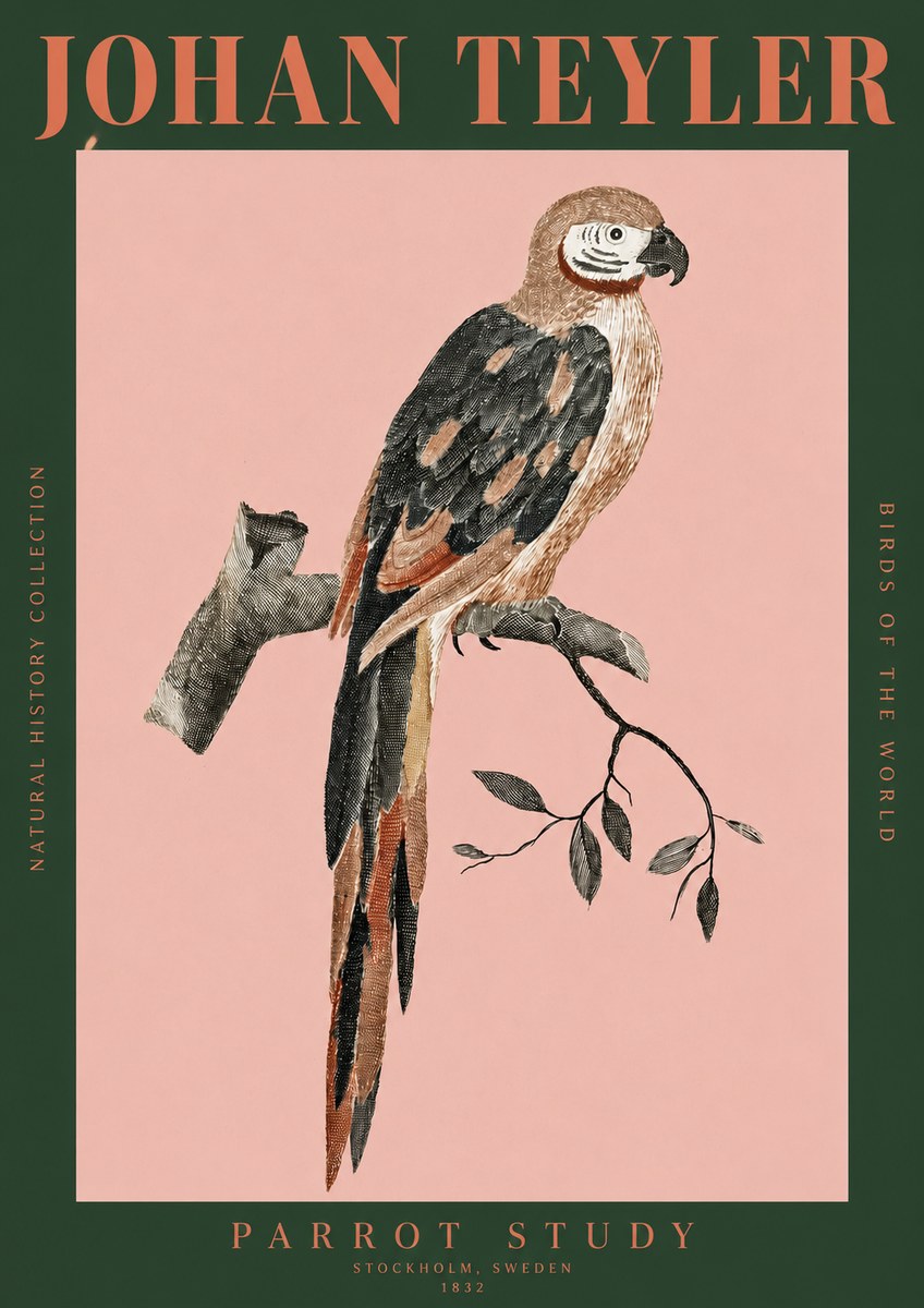 Johan Teyler Parrot Study I No2 - Poszter