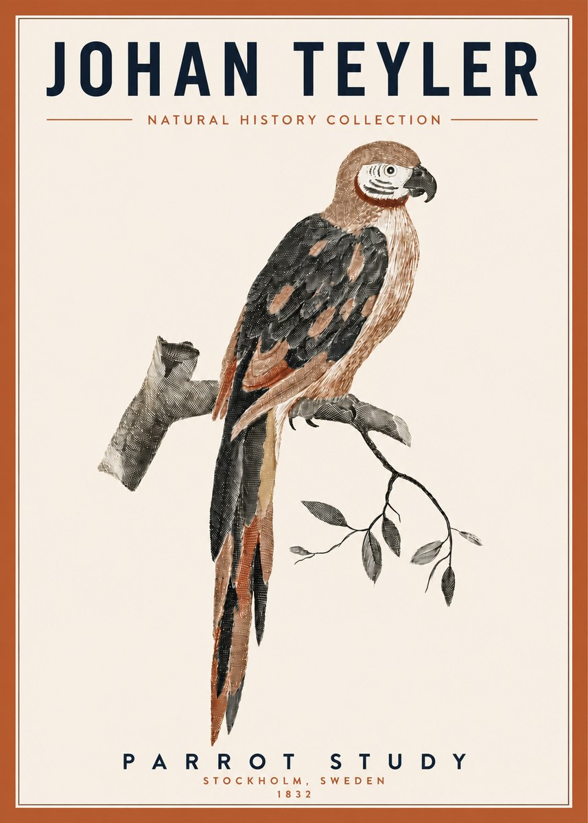 Johan Teyler Parrot Study I No3 - Poszter