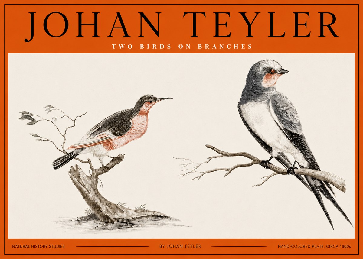 Johan Teyler Two Birds on Branches No2 - Poszter
