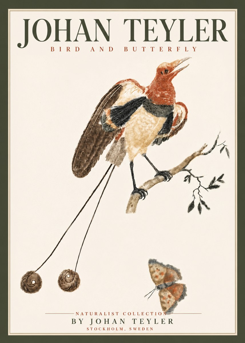 Johan Teyler Bird and Butterfly No4 - Poszter