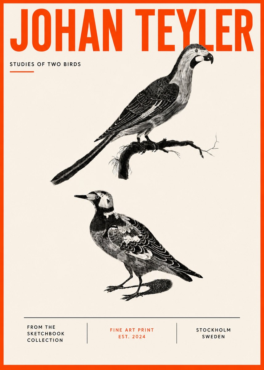 Johan Teyler Birds - Study of Two Species No5 - Poszter