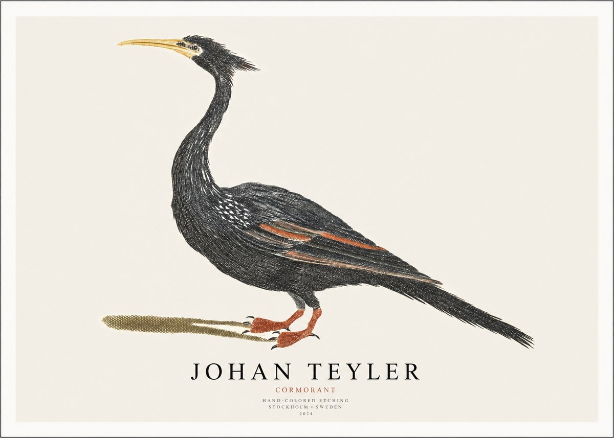 Johan Teyler Cormorant No1 - Poszter