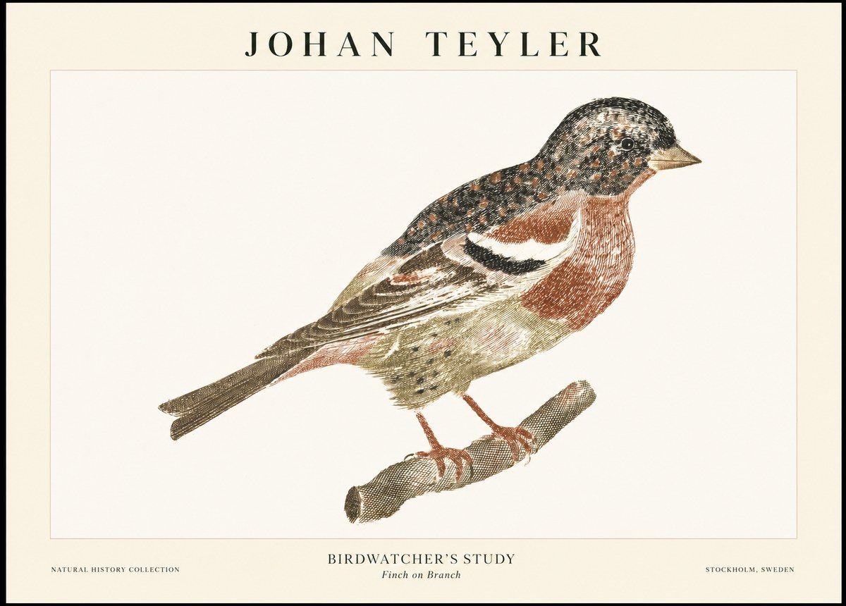 Johan Teyler Finch on Branch No1 - Poszter