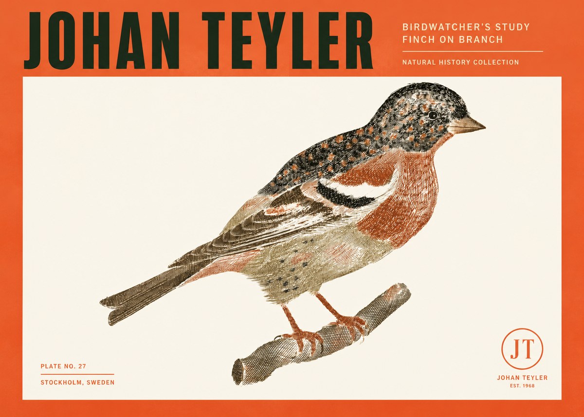 Johan Teyler Finch on Branch No2 - Poszter
