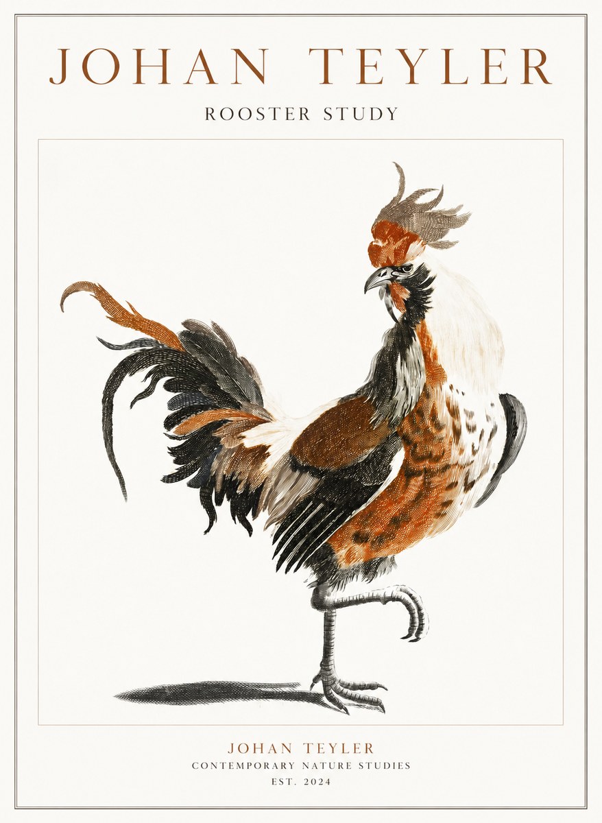 Johan Teyler Rooster Study No1 - Poszter