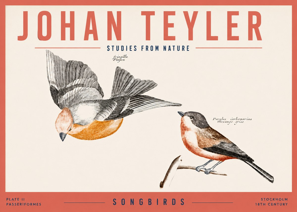 Johan Teyler Songbirds - Plate Ii No3 - Poszter
