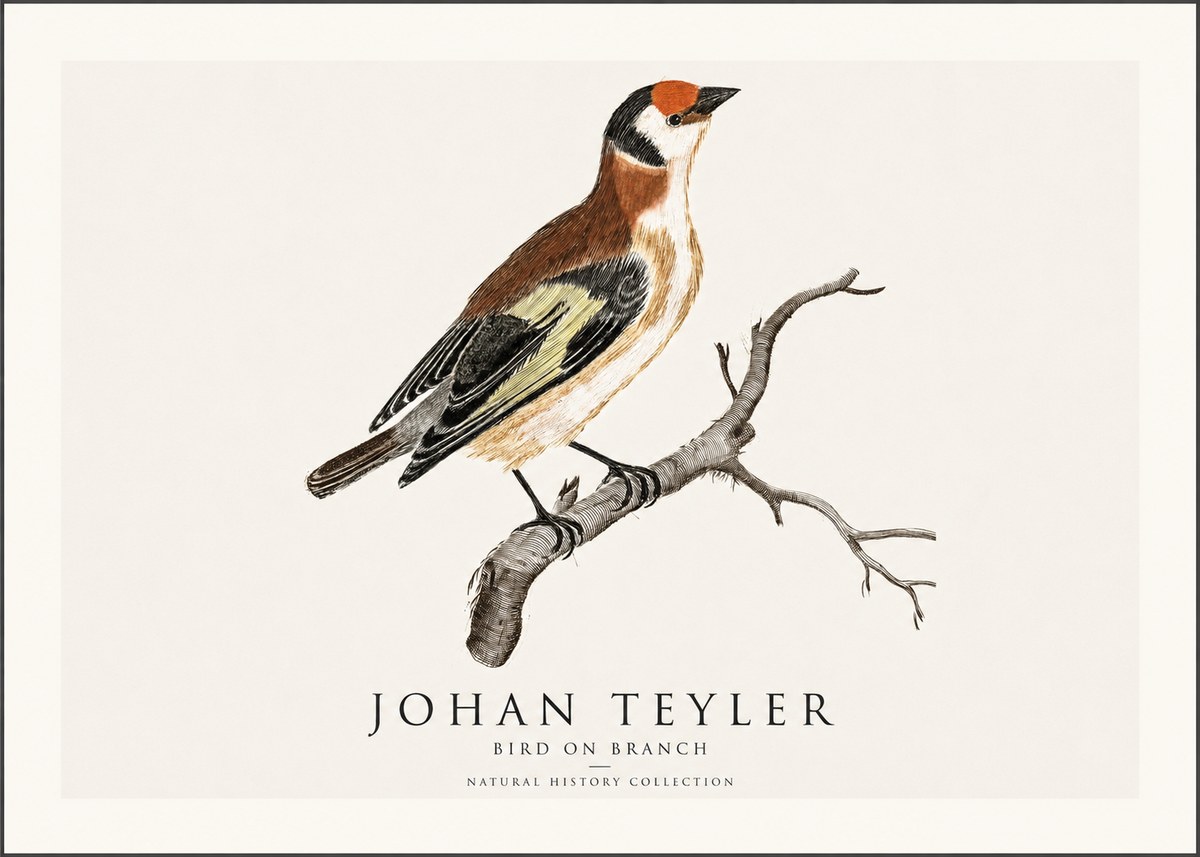 Johan Teyler Song of the Finch No2 - Poszter