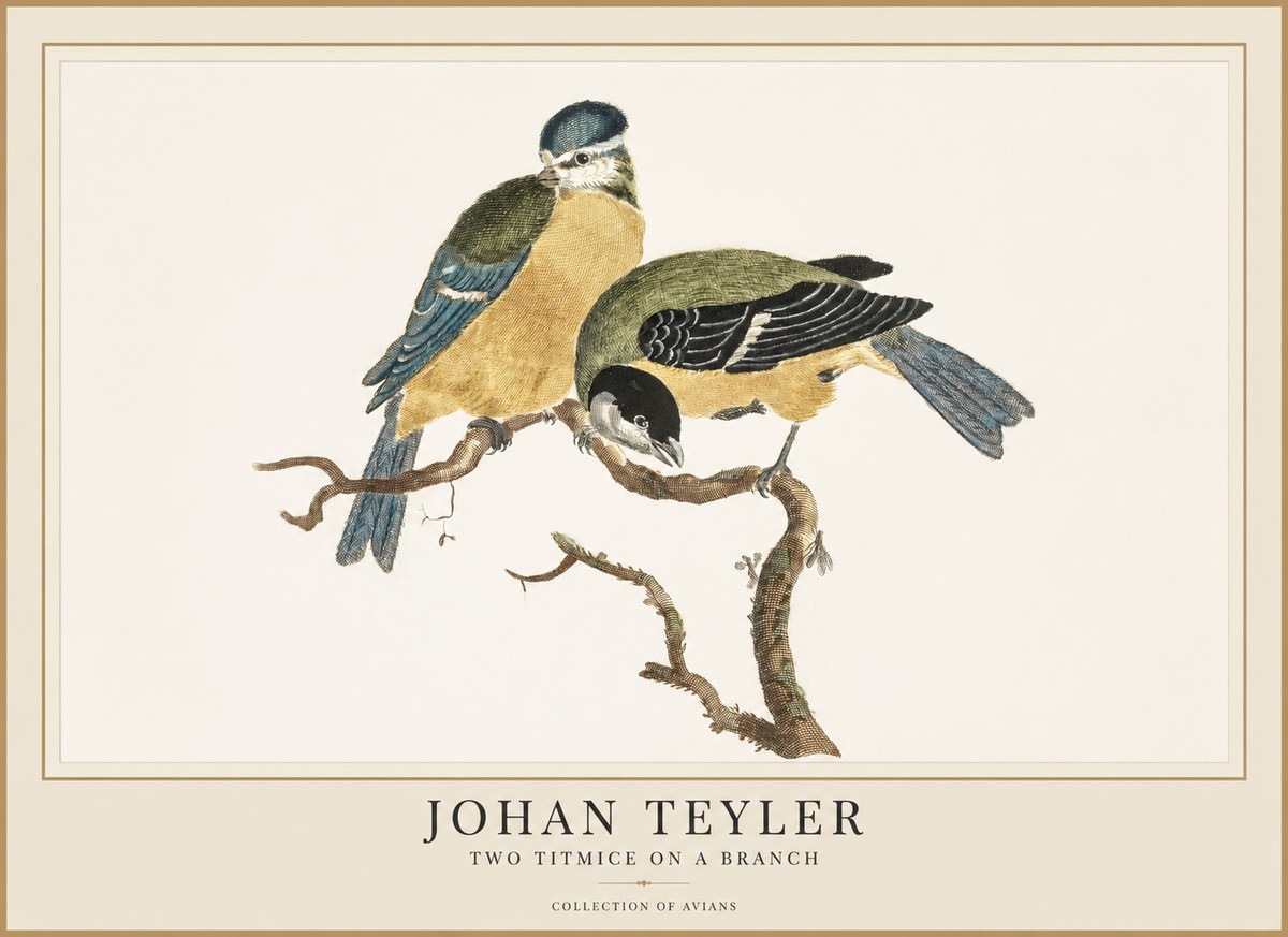 Johan Teyler Two Titmice on a Branch No1 - Poszter