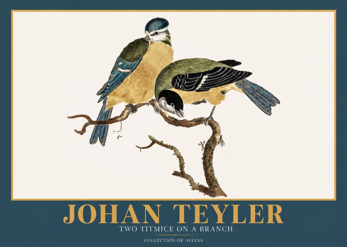 Johan Teyler Two Titmice on a Branch No2 - Poszter