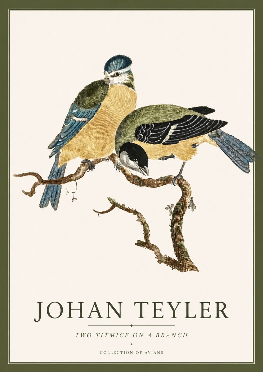 Johan Teyler Two Titmice on a Branch No4 - Poszter