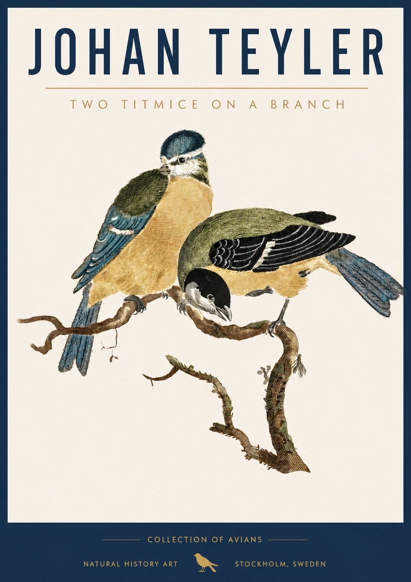 Johan Teyler Two Titmice on a Branch No5 - Poszter