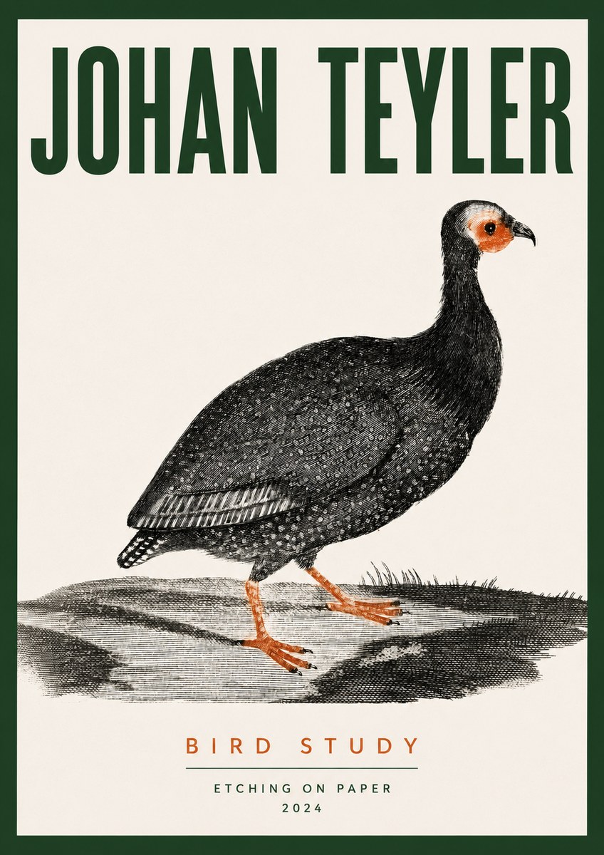 Johan Teyler Bird Study III No3 - Poszter