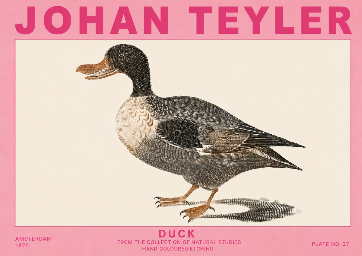 Johan Teyler Duck I No5 - Poszter